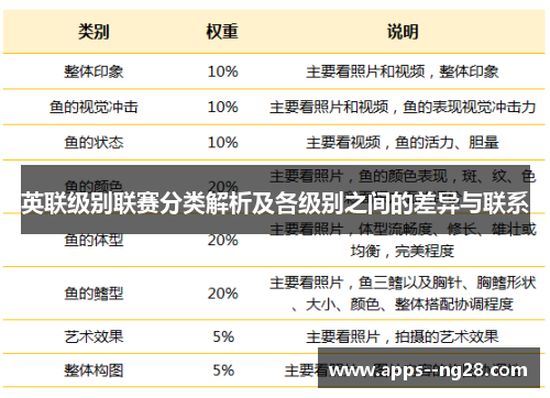 英联级别联赛分类解析及各级别之间的差异与联系
