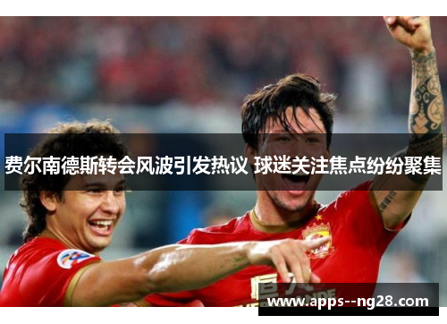 费尔南德斯转会风波引发热议 球迷关注焦点纷纷聚集 费尔南德斯转会风波引发热议 球迷关注焦点纷纷聚集