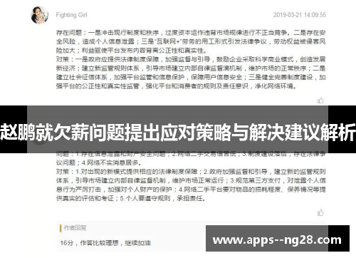 赵鹏就欠薪问题提出应对策略与解决建议解析