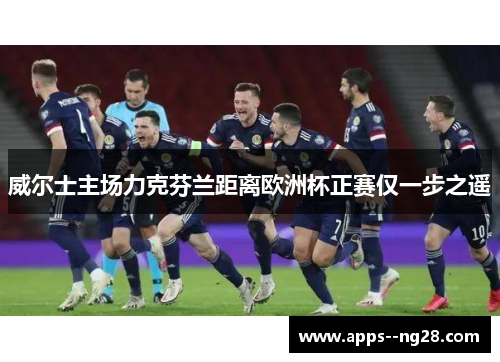 威尔士主场力克芬兰距离欧洲杯正赛仅一步之遥 威尔士主场力克芬兰距离欧洲杯正赛仅一步之遥